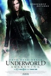 Underworld Awakening (2012)