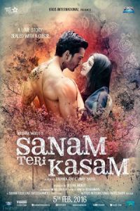 Sanam Teri Kasam (2016)