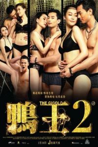 Aap wong 2 (2016)